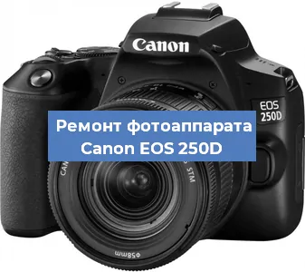 Замена линзы на фотоаппарате Canon EOS 250D в Новосибирске